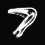 A day in Asia 20210605