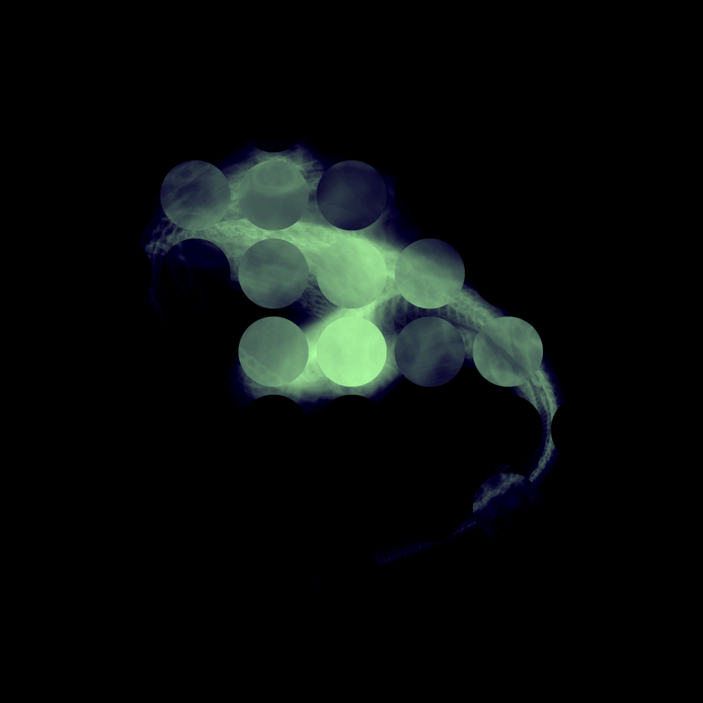 A day in Asia 20210613 CompoundDigitalMicroscope version