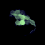 A day in Asia 20210613 CompoundDigitalMicroscope version