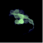 A day in Asia 20210613 RecursiveCompoundDigitalMicroscope version