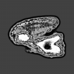 Asia with Multi-Standard 20210615