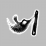 A day in Asia 20210617