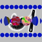 A day in Asia 20210617 RecursiveCompoundDigitalMicroscope version