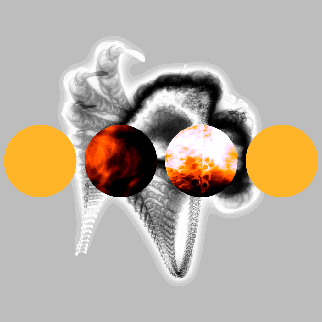 A day in Asia 20210619 CompoundDigitalMicroscope version