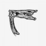 A day in Asia 20210621