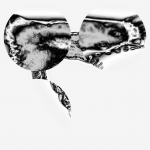 A day in Asia 20210621 CompoundDigitalMicroscope version