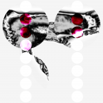 A day in Asia 20210621 RecursiveCompoundDigitalMicroscope version