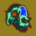 A day in Asia 20210623