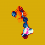 A day in Asia 20210626 CompoundDigitalMicroscope version