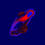 A day in Asia 20210630001 CompoundDigitalMicroscope version