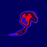 A day in Asia 20210630002