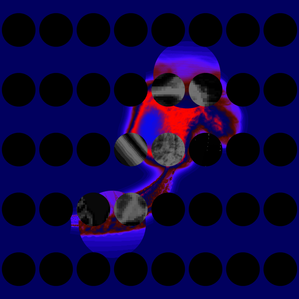 A day in Asia 20210630002 RecursiveCompoundDigitalMicroscope version