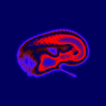 A day in Asia 20210630003