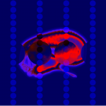 A day in Asia 20210630003 RecursiveCompoundDigitalMicroscope version