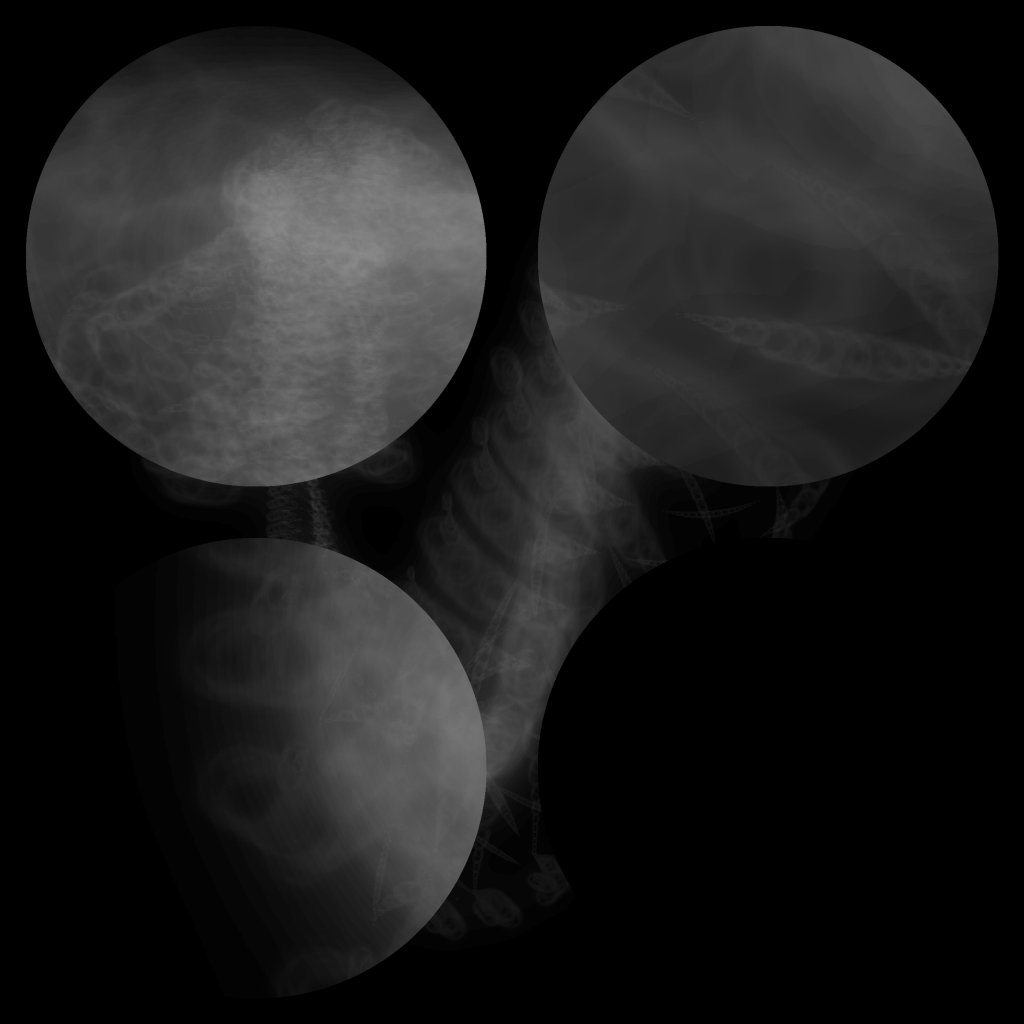 A day in Asia 20210630004 CompoundDigitalMicroscope version