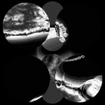 A day in Asia 20210630006 RecursiveCompoundDigitalMicroscope version