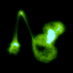 A day in Asia 20210630007