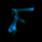 A day in Asia 20210703