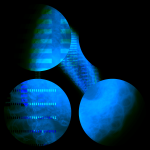 Asia with Multi-Standard 20210704 CompoundDigitalMicroscope version