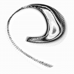 A day in Asia 20210706 CompoundDigitalMicroscope version