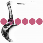 A day in Asia 20210707 RecursiveCompoundDigitalMicroscope version