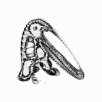 A day in Asia 20210708