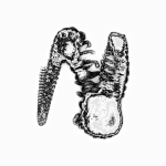 A day in Asia 20210709