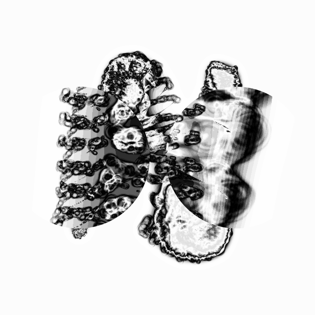 A day in Asia 20210709 CompoundDigitalMicroscope version