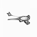 A day in Asia 20210710