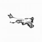 A day in Asia 20210710 CompoundDigitalMicroscope version