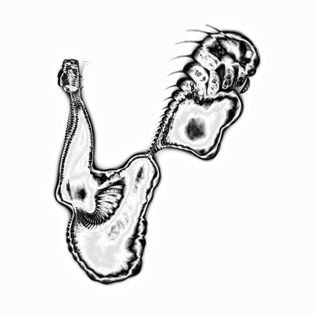 A day in Asia 20210712