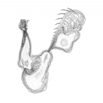 A day in Asia 20210712 Line work version