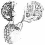 A day in Asia 20210712 Line Work CompoundDigitalMicroscope version