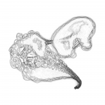 A day in Asia 20210715