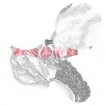 A day in Asia 20210715 RecursiveCompoundDigitalMicroscope version