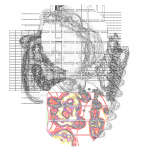 Asia with Multi-Standard 20210716 CompoundDigitalMicroscope version
