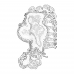 A day in Asia 20210717