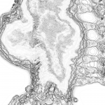 A day in Asia 20210717 DigitalMicroscope version