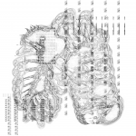 Fragmentasia 20210718