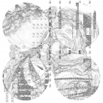 Fragmentasia 20210718 CompoundDigitalMicroscope version