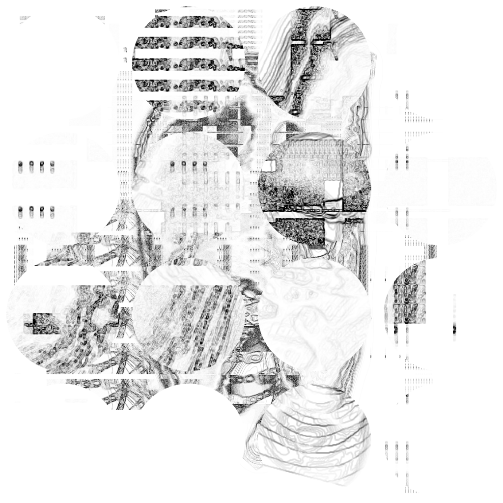 Fragmentasia 20210719 CompoundDigitalMicroscope version