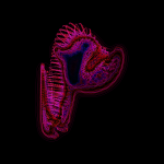 A day in Asia 20210721