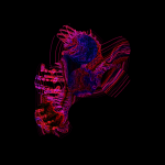 A day in Asia 20210721 CompoundDigitalMicroscope version