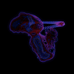 A day in Asia 20210722