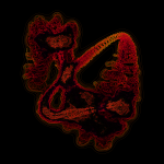 A day in Asia 20210724