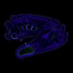 A day in Asia 20210726