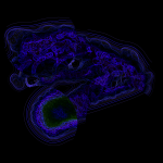 A day in Asia 20210726 CompoundDigitalMicroscope version