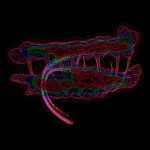 A day in Asia 20210727