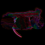 A day in Asia 20210727 CompoundDigitalMicroscope version