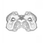 A day in Asia 202107310047